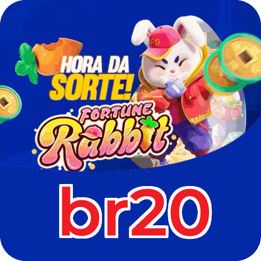 Suporte br20
